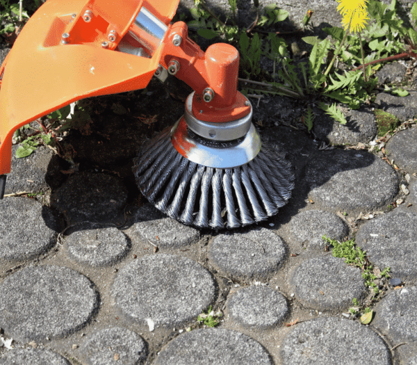 Wildkrautbürste Stahl