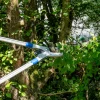 Astschere Teleskop N-1000 – Bild 12