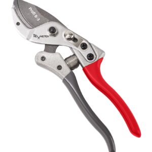 Profi-Gartenschere-B3